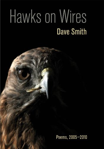 Hawks on Wires by Dave Smith